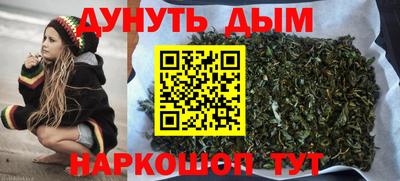 стафф Краснодар