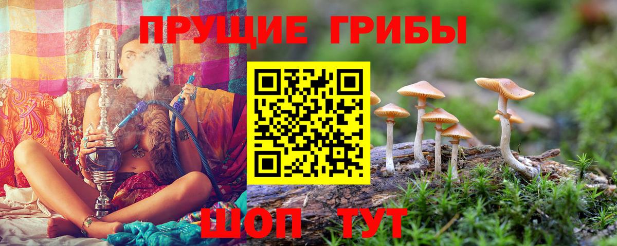 Галлюциногенные грибы ЛСД Клинцы