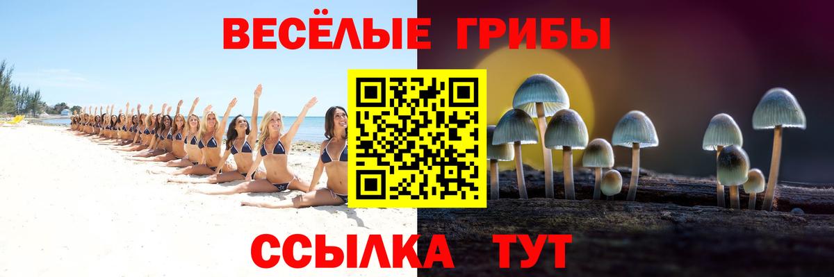 Клинцы  Галлюциногенные грибы MAGIC MUSHROOMS  Вход с VPN 